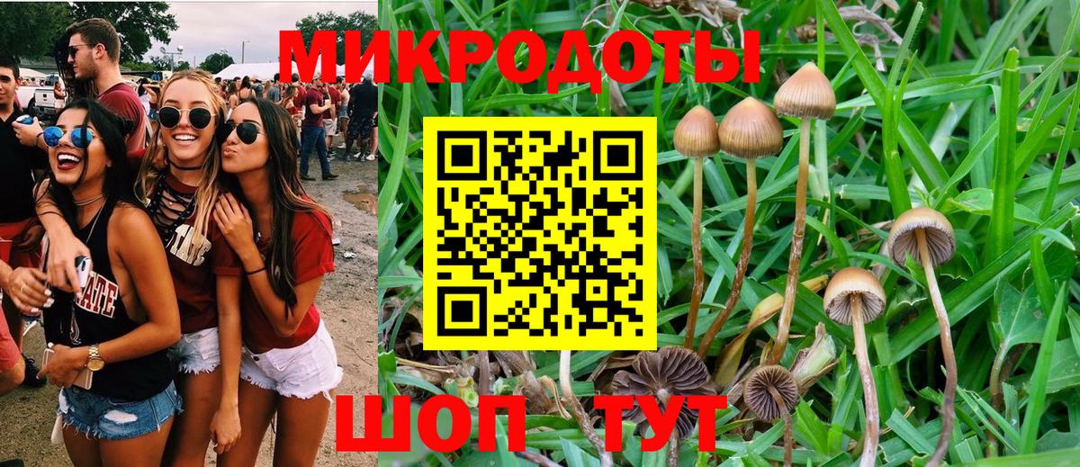 Псилоцибиновые грибы ЛСД  Вход с VPN  Псилоцибиновые грибы GOLDEN TEACHER  Мариинск 